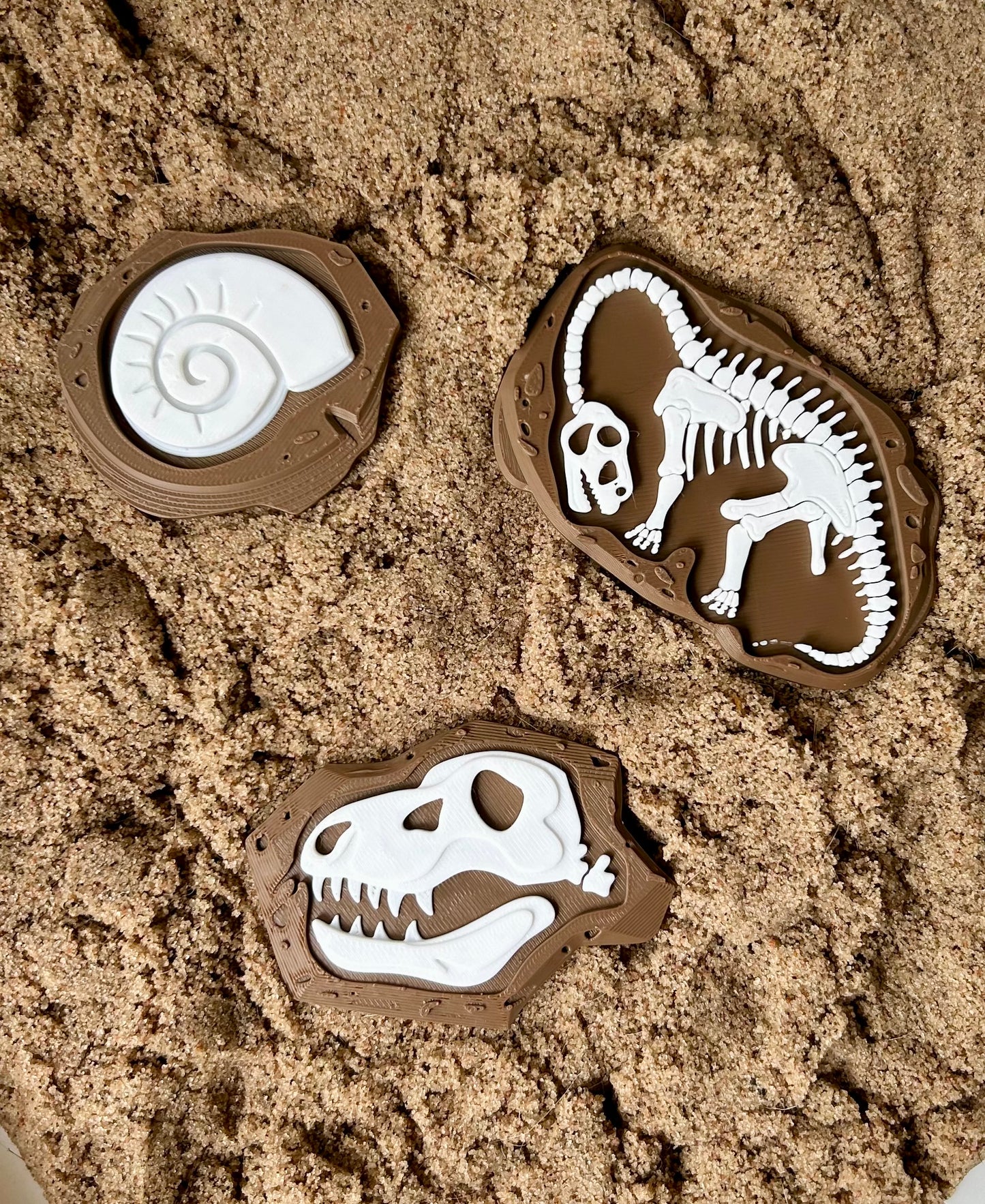 3D Printed Dinosaur Fossils