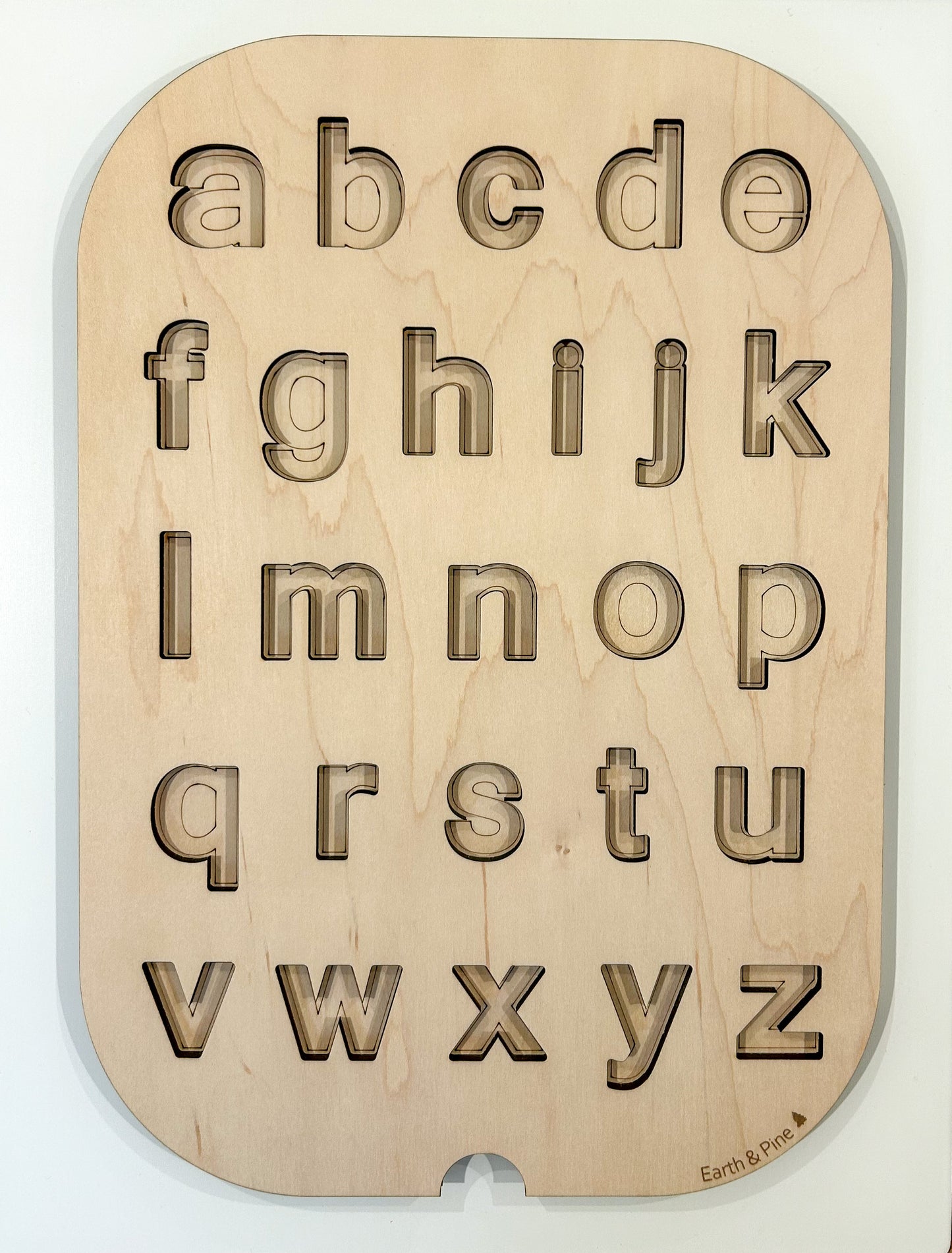 Lower Case Resin Letter Insert