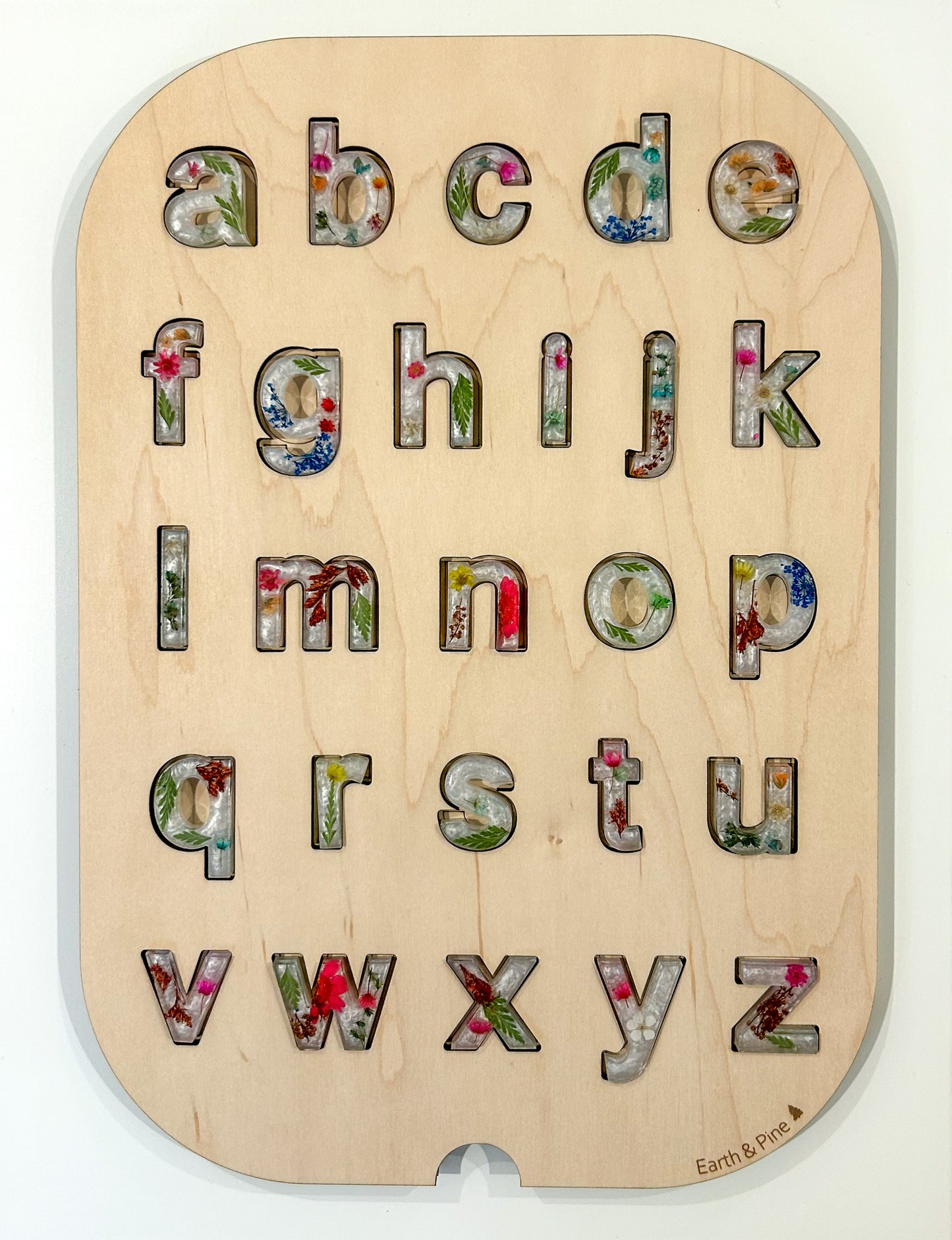 Lower Case Resin Letter Insert